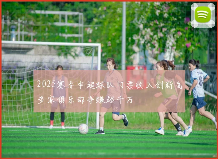 2025赛季中超球队门票收入创新高多家俱乐部净赚超千万