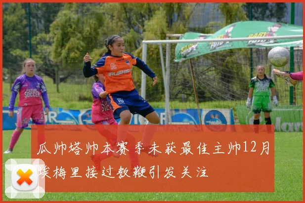 瓜帅塔帅本赛季未获最佳主帅12月埃梅里接过教鞭引发关注