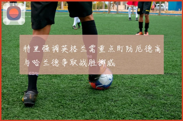 特里强调英格兰需重点盯防厄德高与哈兰德争取战胜挪威